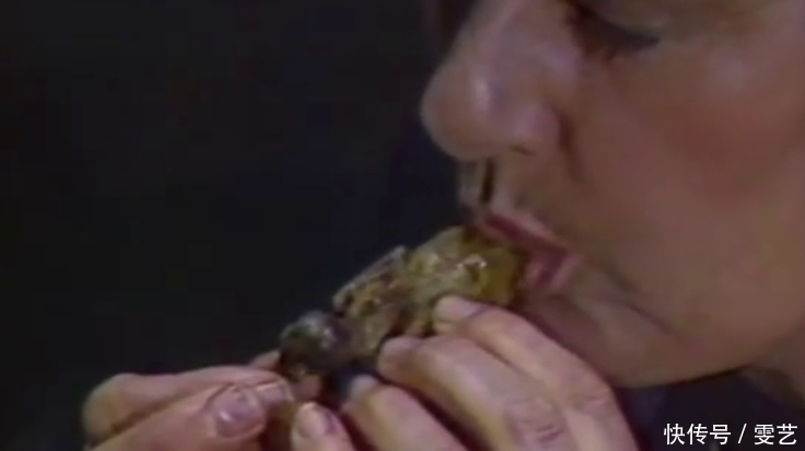 鹅肝|强迫进食，“填鸭式”育肥，用酒溺死后再烤，法国大餐的残忍吃法