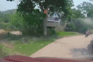 |搞笑GIF:物以类聚人以群分 这样的寝室欢乐才多