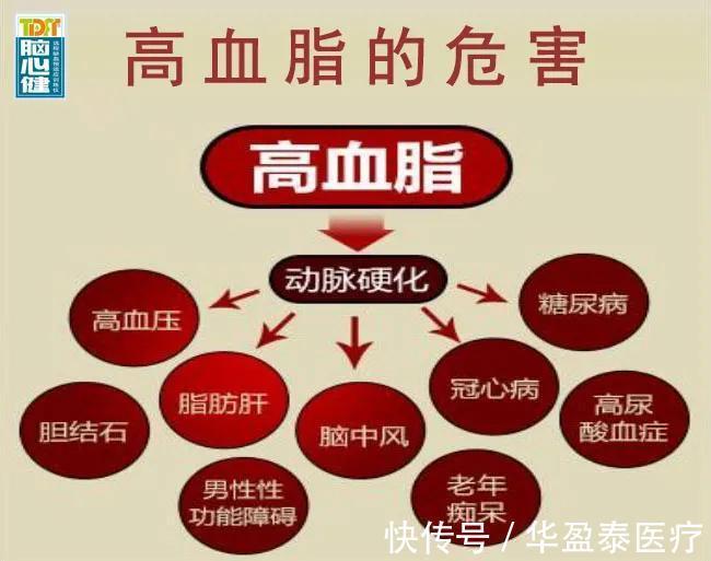 脑梗死|每天只吃素食就能控制血脂吗？高血脂患者应如何注意饮食？