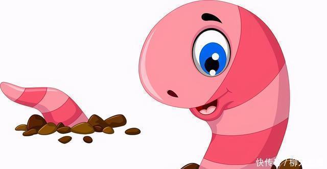 钓鱼用不完的蚯蚓,可以这样保存,都不用花钱再买了