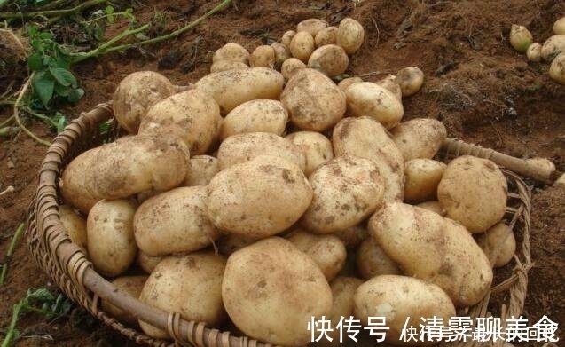 维生素c|提个醒:见到这样的土豆不要买,很多人不清楚,早知早好