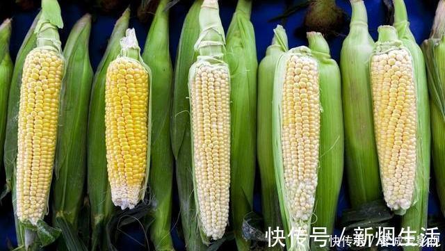 玉米皮|玉米直接放冰箱就错了，教你一招，放半年都新鲜，吃着像刚买的