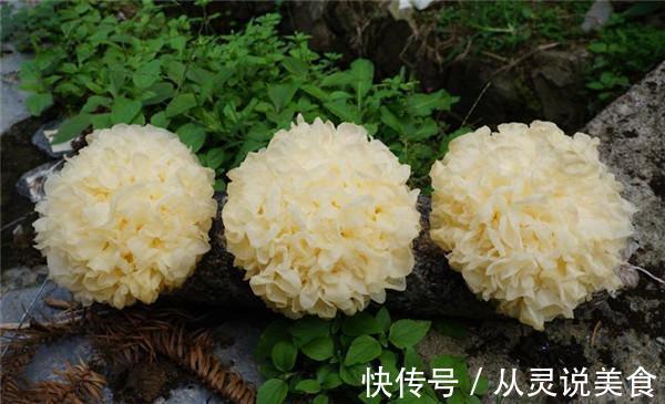 食用菌|它被列为“人类最佳饮食结构”，增肌护心脑！这样吃，养出好体魄