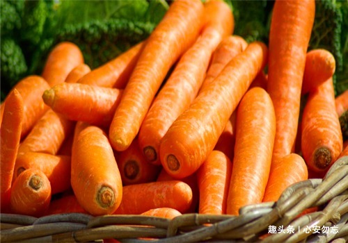 衰老|人到中年想养生,以下食物别放过,补充营养,抗皮肤衰老