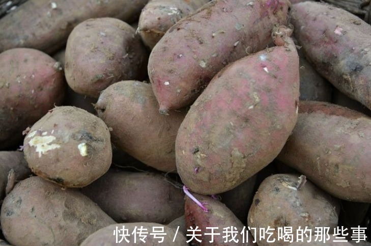 碱面|红薯不能堆着放，农村大婶教你一招，半年不长芽不霉烂，越放越甜