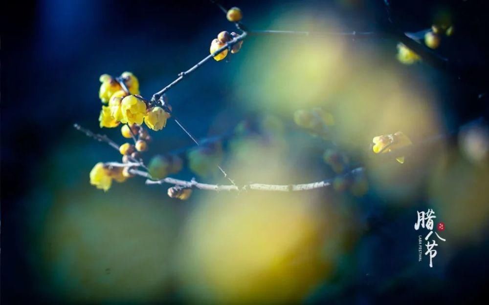 腊八节|十首腊八的诗词,品味诗书中的腊八节!