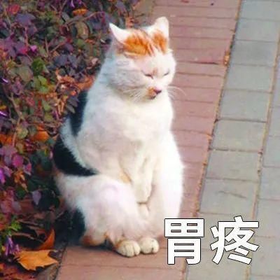  保护|从胃炎到胃癌仅4步？你真的知道怎么保护你的胃吗？