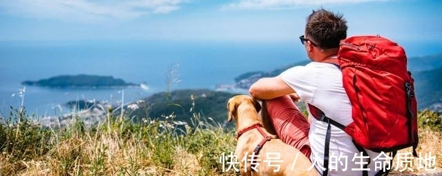 旅游者们|流浪狗的真实心理是什么