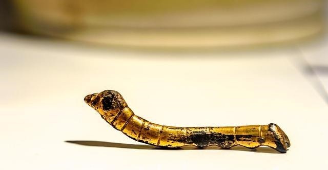 遗址|28件汉唐丝绸之路见证物亮相铜官窑,陈家坪遗址免费开放