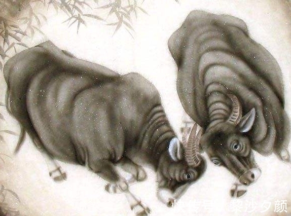 生肖鼠|不会急于求成,凡事都会默默努力,必定厚积薄发的三个生肖