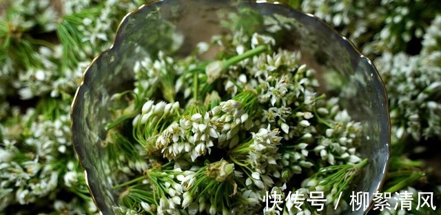 腌韭菜花别只放盐，教你正确比例配方不变色不变味，放一年不坏！
