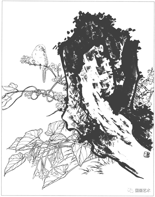  工笔|分享一组工笔花鸟白描