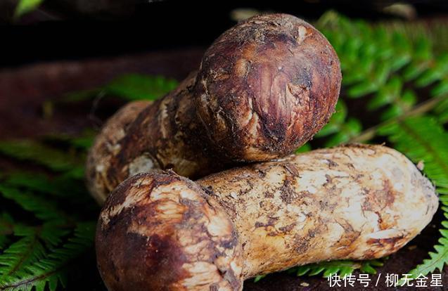 超市|超市中的爱马仕,蘑菇2300一斤,牛肉1580一斤