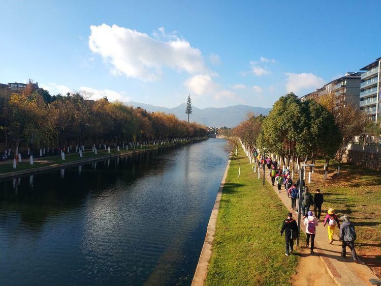 船房河走到滇池边，冬日赏海鸥、走湿地，惬意