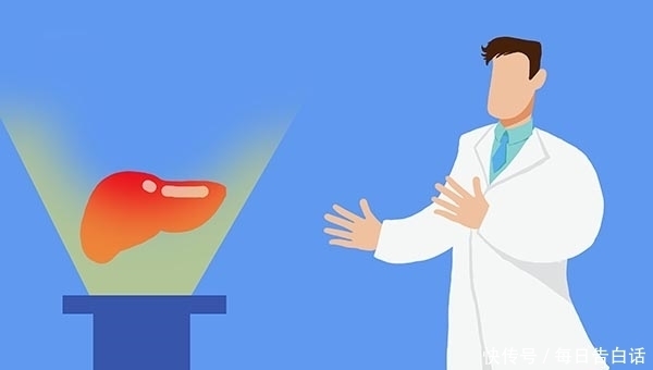 肝也有“喜欢”的食物,便宜又营养,经常吃,肝脏也许会夸你聪明