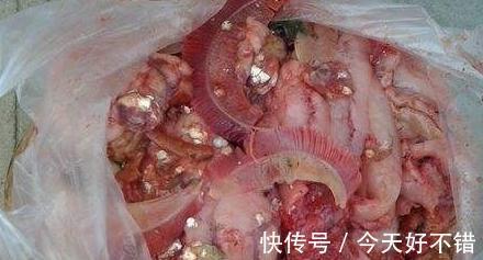 想要长寿花快速开花,用上1种肥,光照水分此样做,很简单