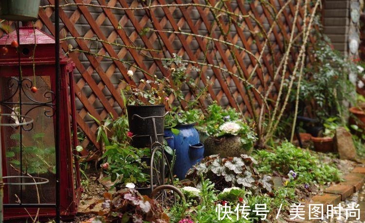 小院|荒废多年的80㎡小院,2年半时间打造成下沉式花园,太漂亮了!