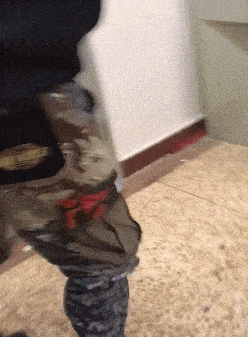 |搞笑GIF趣图:谁挖的坑,站出来,咱们聊聊