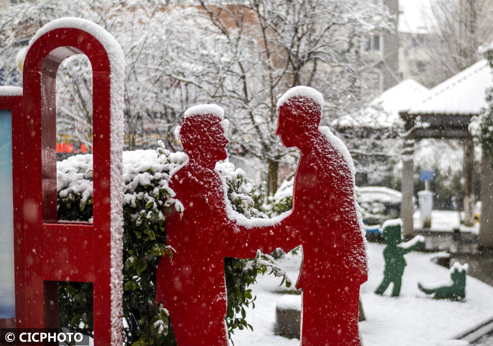 icphoto|新春雪绒绒