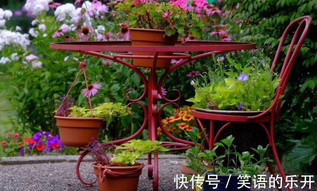 花卉好不容易熬过冬,初春这5点没做好,分分钟死给你看