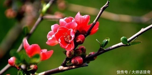 帘钩$心若烦躁,就读读王安石的一首诗,人生苦短哪有什么放不下的烦恼