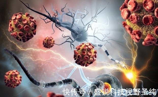 癌症|血常规能查出癌症吗?医生:“揪出”早期癌症,不要放过这3项