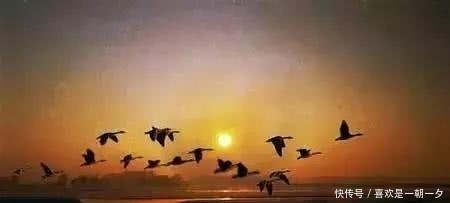 临江仙|临江仙·雁背夕阳斜