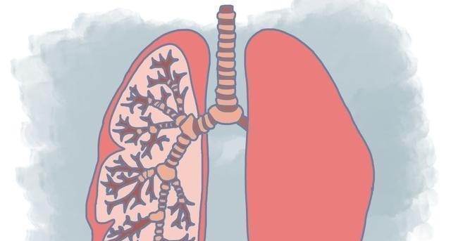 结节|肺部患有结节的人,建议远离这5种食物,尽量放在心上