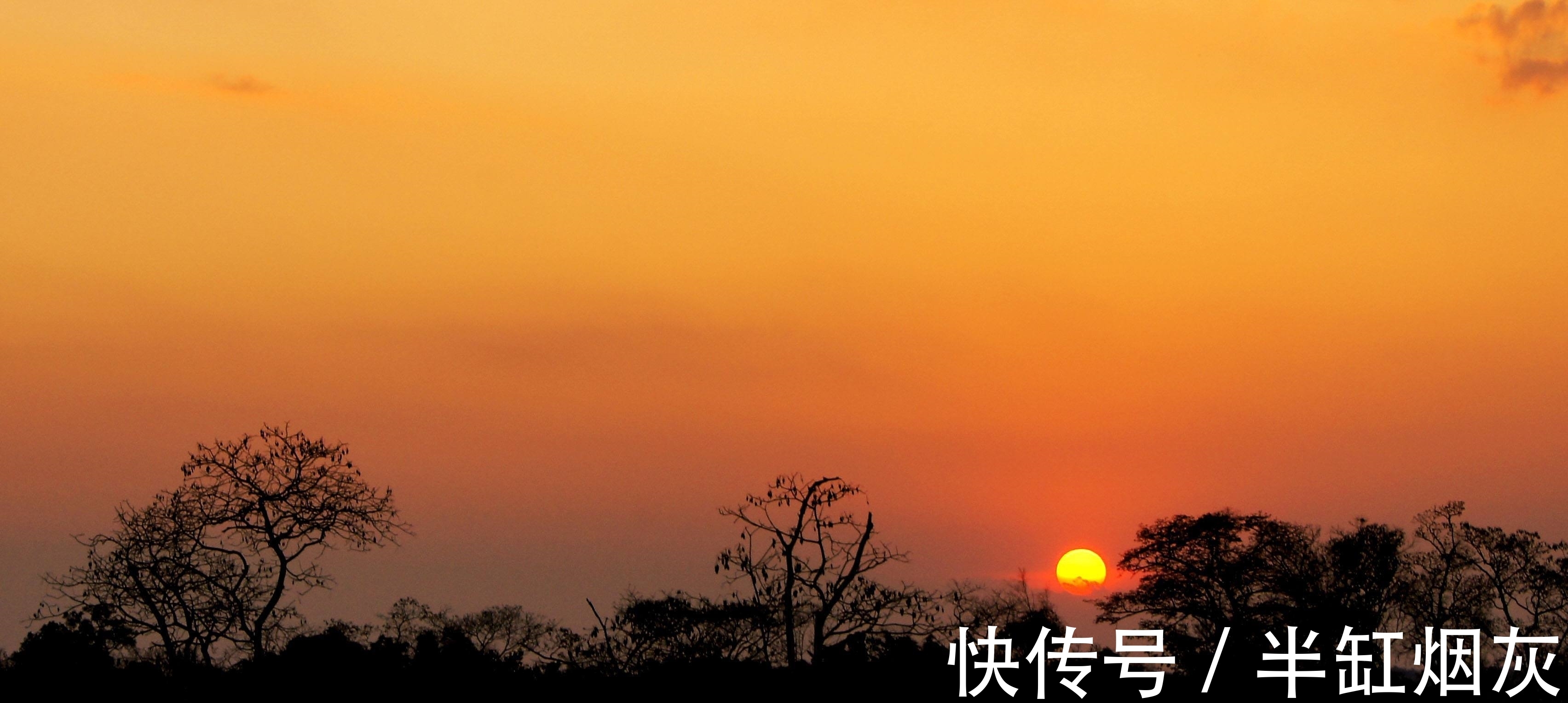 望敬亭山$史上最惊艳的五绝是哪10首？篇篇精彩，《望敬亭山》都望尘莫及