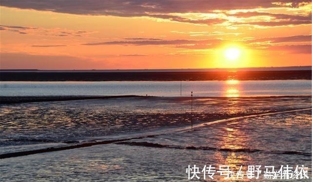 钓鱼|大鲫鱼藏在哪这5个地方都是鱼窝,看你错过了多少鱼