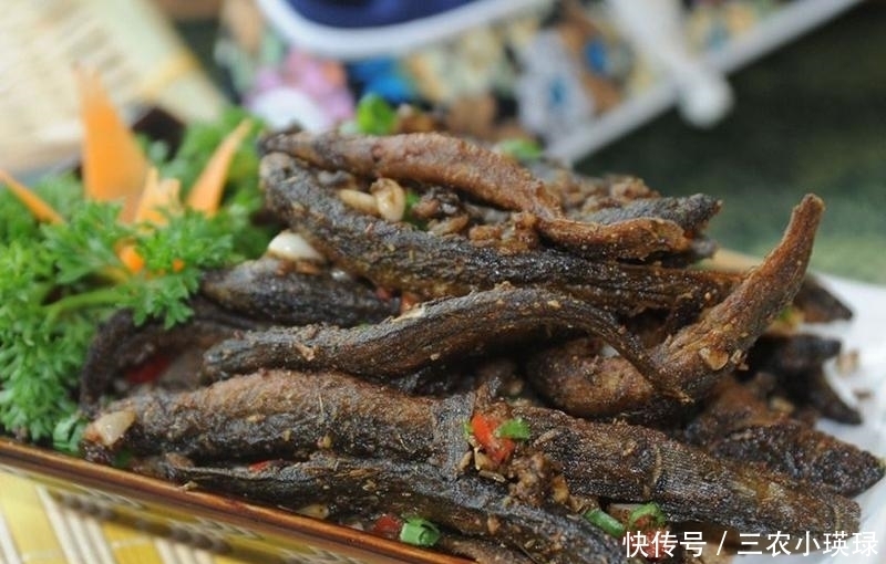 它长得像一把刺刀,以前钓到直接扔了,现在成了稀罕货百元一斤