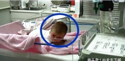 爸爸|新生儿还在保温箱里,听到爸爸在叫他,下一秒动作无法淡定