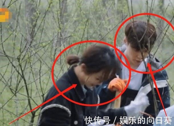 黃磊|黃磊催婚張藝興,直言緋聞女友楊紫很合適,張藝興的回應卻引熱議!