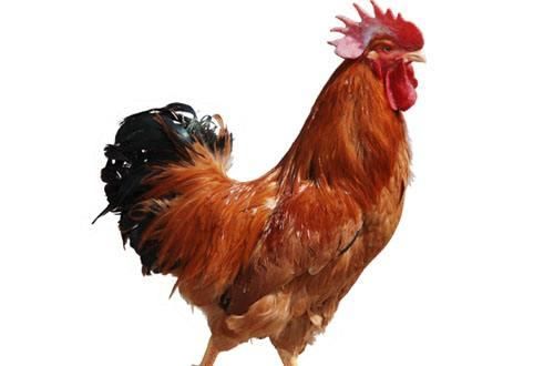 经确诊为高血压后，4种食物最好少碰，第2个再喜欢也要戒掉