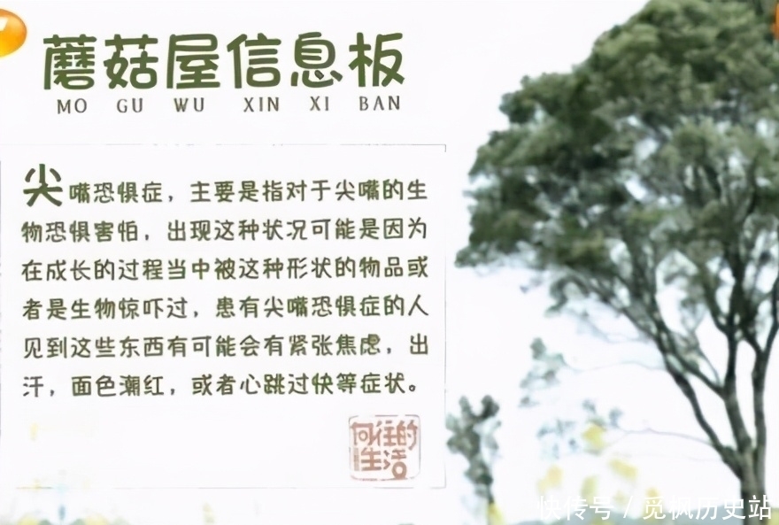 何老师 看张艺兴是如何一步一步被“骗”进鸡窝的?