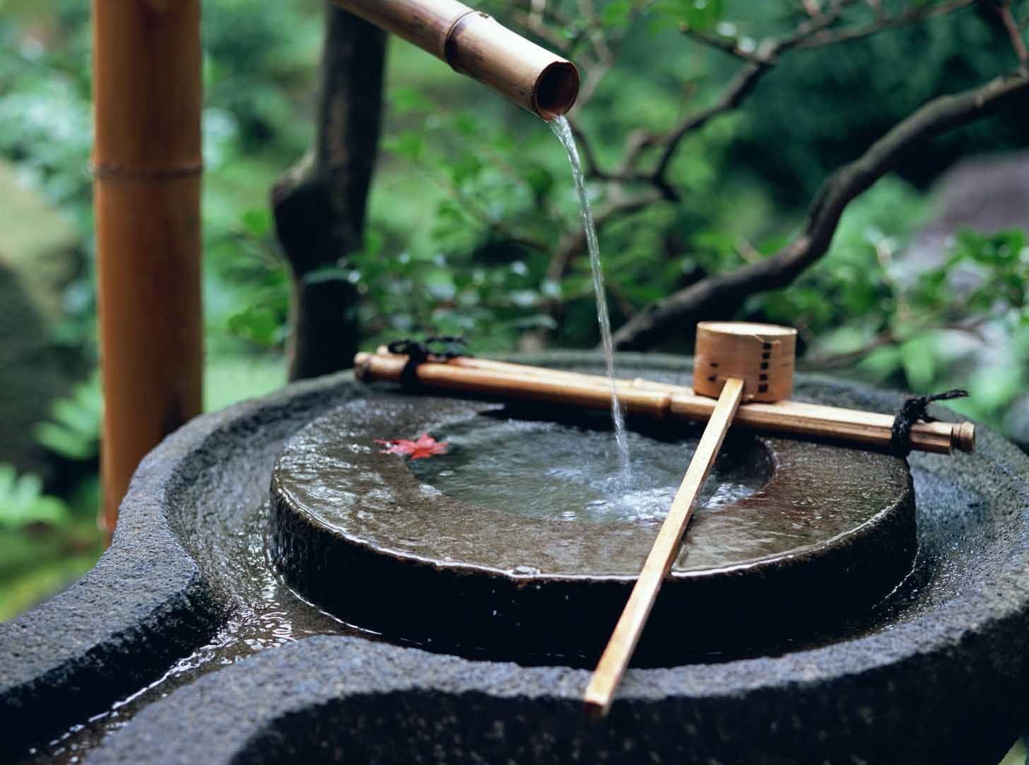 蒸馏水|茶的灵魂伴侣——水