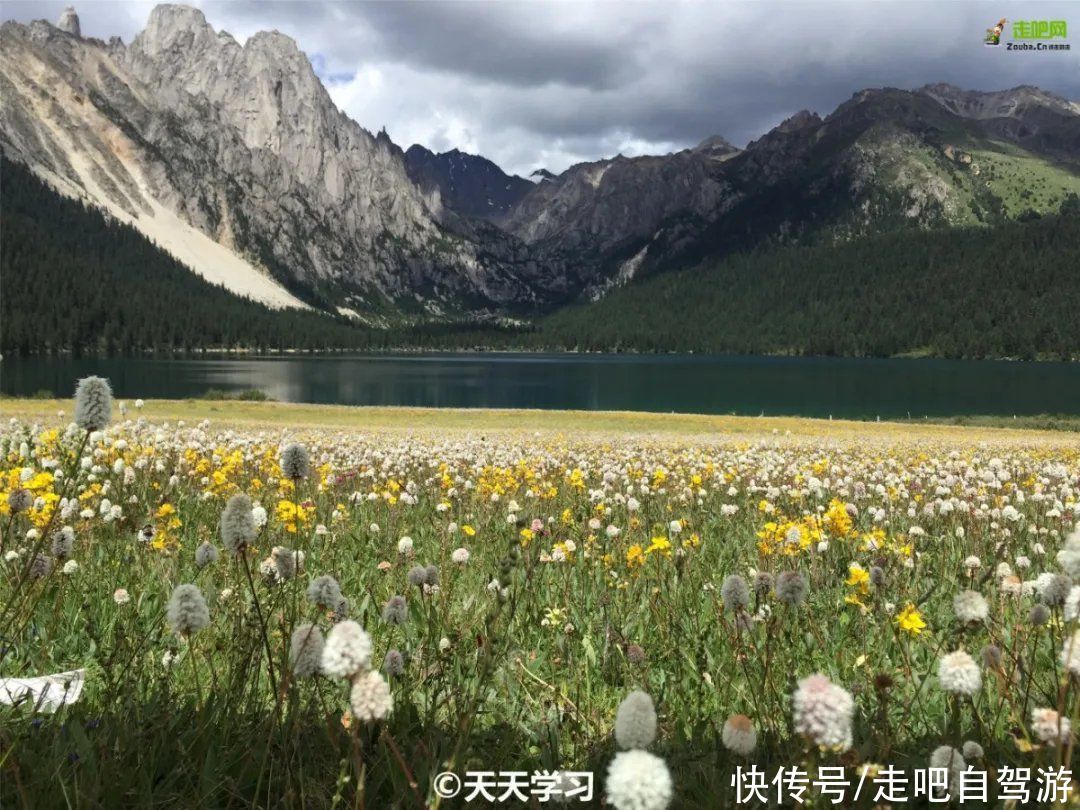 圆梦西藏｜神奇的天路，一生必去的圣地！这条路线再忙也要去