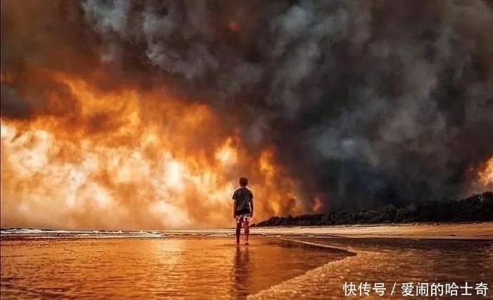 当全网都在催关晓彤给鹿晗庆生时,一场关乎全人类的灾难正悄然降临……