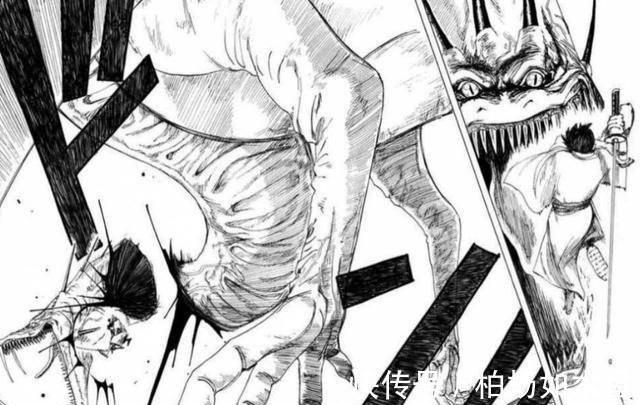 凱多|海賊王里的3個砍龍人,龍馬和御田都是過去,索隆可能會砍凱多