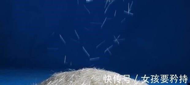 垄断|国产崛起,终结美企垄断!中企手握核心技术,把我国送至全球第一