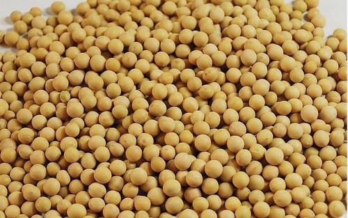 豆类|女人不想“老太快”,坚持吃3种食物,有助美容、养颜、抗衰老