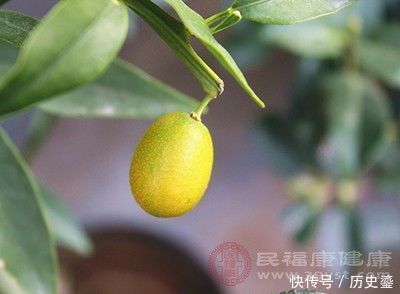 孩子|孩子食欲差吃什么常吃金桔竟有这个作用