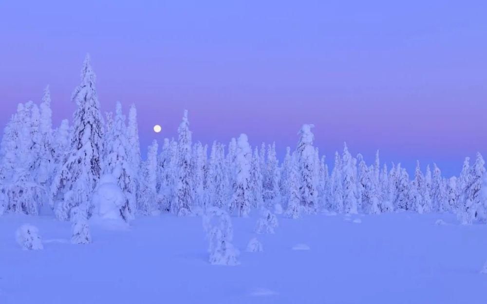 下雪的夜晚静谧而美好，十首雪夜的诗词，梦幻得像童话世界！