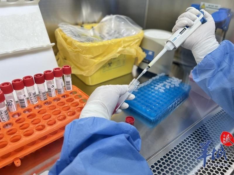 核酸报告|孩子半夜发烧，要等核酸报告！海珠这家医院最快1小时出报告