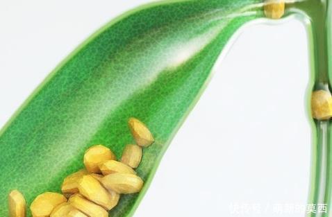 胆结石|胆结石是由什么诱因引起的此4个坏习惯,需及时纠正,勿忽视