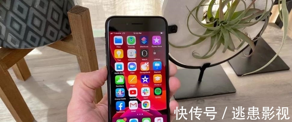 iphone xr|iPhone SE2 与 iPhone XR 对比：区别一览无余