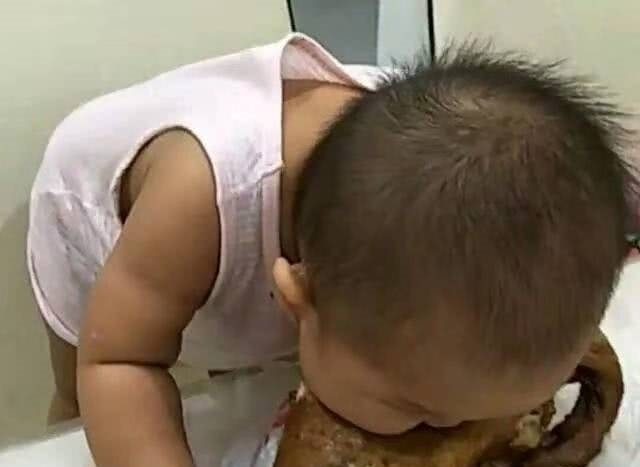 烤鸭|女子买回一只烤鸭,转身烤鸭不见了,来到客厅一看乐坏了