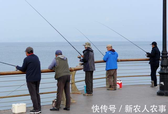 四川一女子钓鱼上瘾,野钓鲫鱼误入鲢鳙窝爆护,网友:难得遇一回