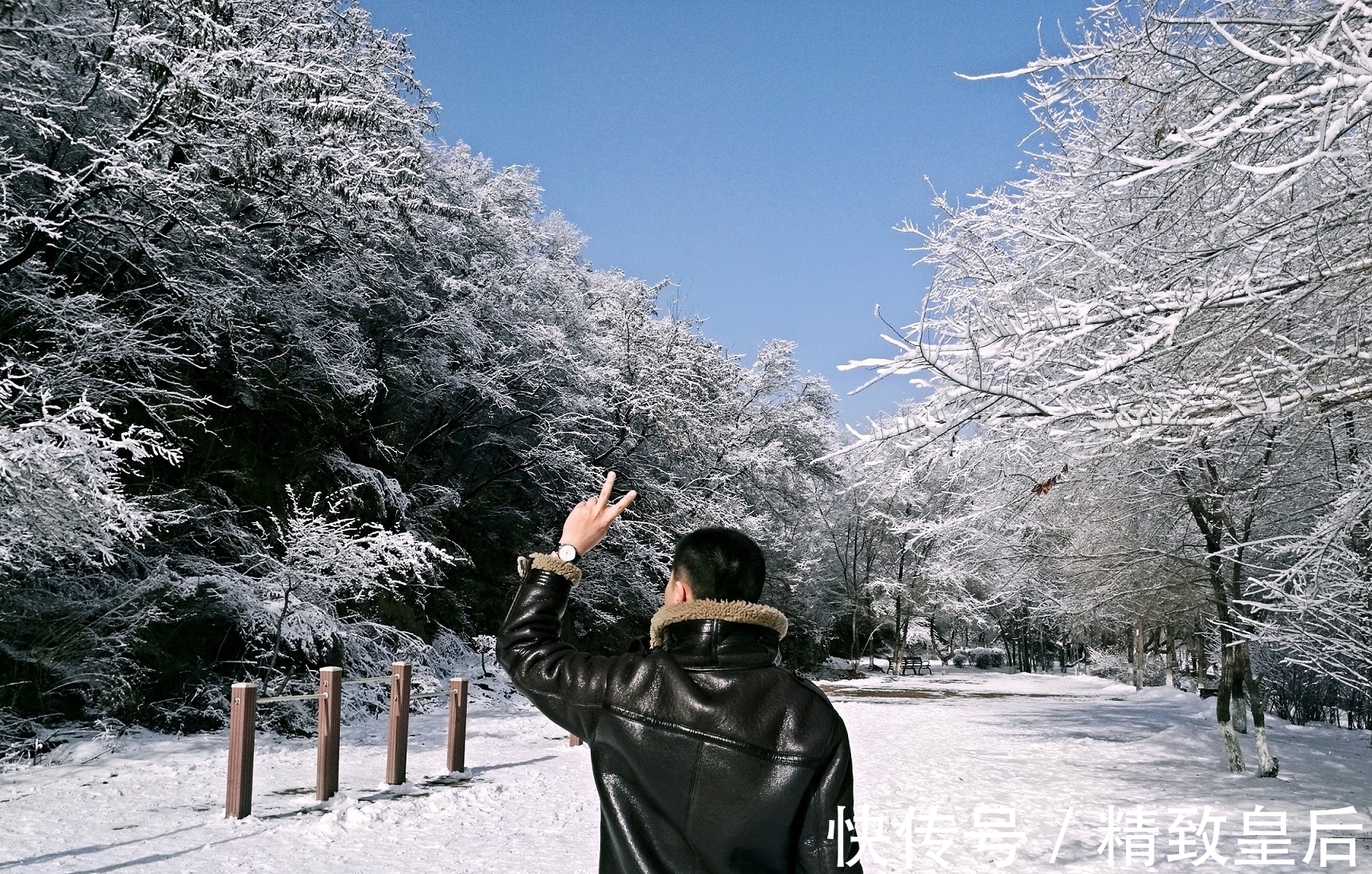 表扣 海鸥手表质量好吗,海鸥机械表时尚款试用评价