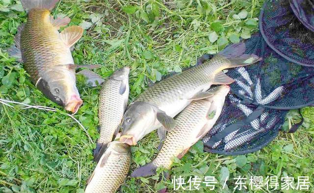 pe线|秋季野钓江河，最强的几种远投钓法，不挂底、不散窝，专门钓大鱼